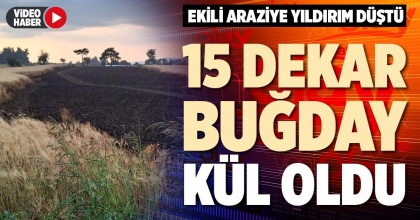 15 DEKAR BUĞDAY KÜL OLDU