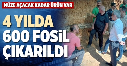 4 YILDA 600 FOSİL ÇIKARILDI