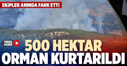 500 HEKTAR ORMAN KURTARILDI