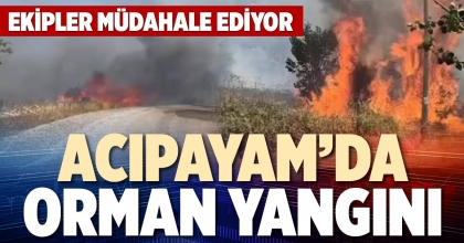 ACIPAYAM’DA ORMAN YANGINI