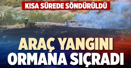 ARAÇ YANGINI ORMANA SIÇRADI
