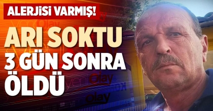 ARI SOKTU, 3 GÜN SONRA ÖLDÜ