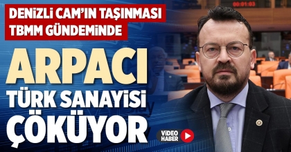 ARPACI: TÜRK SANAYİSİ ÇÖKÜYOR 