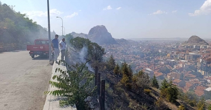 AĞAÇLIK ALANDAKİ YANGIN PANİĞE NEDEN OLDU