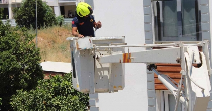 AYDIN'DA BALKONDA SIKIŞAN KUMRUYU VATANDAŞIN DİKKATİ KURTARDI
