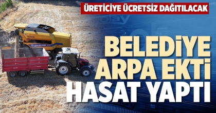 BELEDİYE ARPA EKTİ HASAT YAPTI