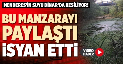 BU MANZARAYI PAYLAŞTI İSYAN ETTİ
