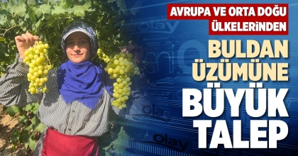 BULDAN ÜZÜMÜNE BÜYÜK TALEP