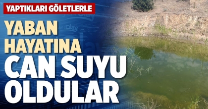 YABAN HAYATINA CAN SUYU OLDULAR