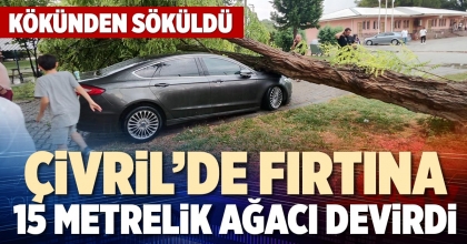 ÇİVRİL’DE FIRTINA 15 METRELİK AĞACI DEVİRDİ