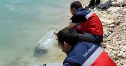 ÇAVDARHİSAR BARAJI’NA 38 BİN YAVRU SAZAN BIRAKILDI