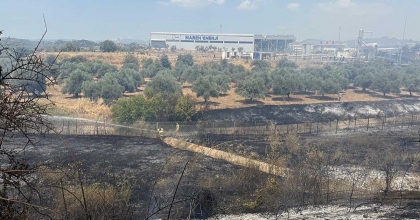 ÇİFT SÜRÜLEN TARLA YANGINDA ZARAR GÖRMEDİ