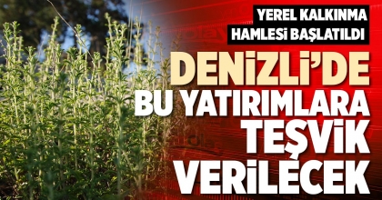DENİZLİ’DE BU YATIRIMLARA TEŞVİK VERİLECEK 