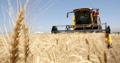 DESTEKLEME ÖDEMELERİ HESAPLARDA