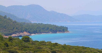 DİLEK YARIMADASI MİLLİ PARKI'NA YANGIN YOLU AÇILACAK