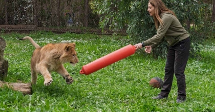 DOĞADAN KURTARILDI, ÖLÜME GÖNDERİLDİ