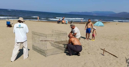 EKODOSD’TAN CARETTA CARETTA UYARISI