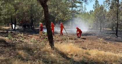 FETHİYE'DEKİ YANGININ ETRAFI ÇEVRİLDİ