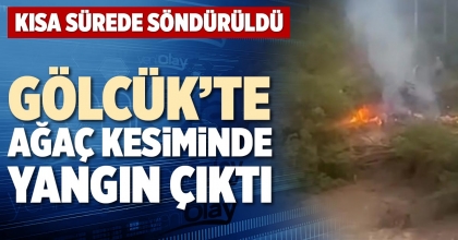 GÖLCÜK’TE AĞAÇ KESİMİNDE YANGIN ÇIKTI