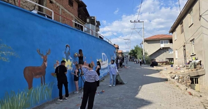 GÖKLER BELDESİNDE BOŞ DUVARLAR SANAT ESERİNE DÖNÜŞTÜ
