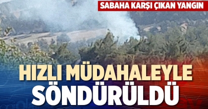 HIZLI MÜDAHALEYLE SÖNDÜRÜLDÜ