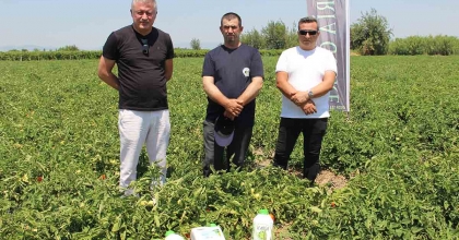 HEM HASTALIKLARDAN KURTULDULAR HEM VERİMİ ARTIRDILAR