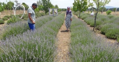 HOBİYLE BAŞLADILAR, GEÇİM KAYNAĞINA DÖNÜŞTÜ