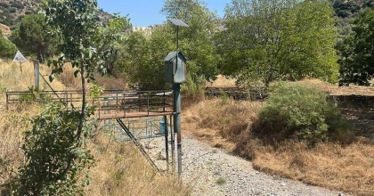 İKİZDERE BARAJI'NDAN SU BIRAKILMADI, AĞAÇLAR KURUDU