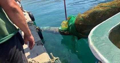 İZMİR KARABURUN'DA BALIKÇI AĞINA DENİZALTI TORPİDOSU TAKILDI