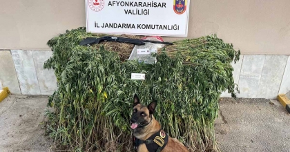 JANDARMADAN UYUŞTURUCU OPERASYONU: 2 GÖZALTI