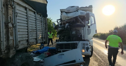 KAMYONUNDAKİ ARIZAYI KONTROL İÇİN İNEN SÜRÜCÜ BAŞKA BİR KAMYONUN ALTINDA KALDI