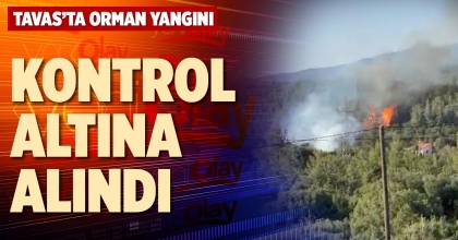 KONTROL  ALTINA  ALINDI