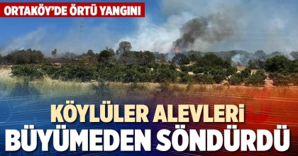 KÖYLÜLER ALEVLERİ BÜYÜMEDEN SÖNDÜRDÜ