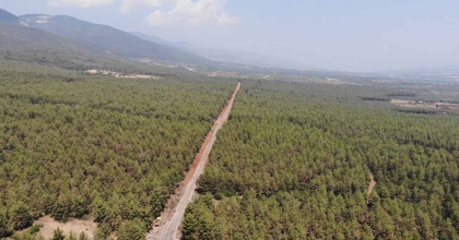 KARACASU’DA ORMANLARDA SIKI DENETİM