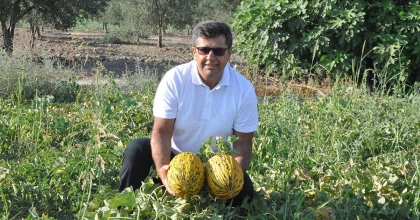 KIRKAĞAÇ KAVUNU AB’DEN TESCİL ALAN 38. ÜRÜN OLDU