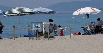 KUŞADASI'NDA İLK CARETTA CARETTA YUVASI BELİRLENDİ