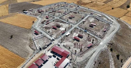 KÜTAHYA'DA SAHİPSİZ SOKAK HAYVANLARINA DOĞAL YAŞAM ALANI