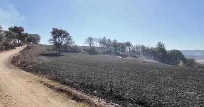 KÜTAHYA'DAKİ ORMAN YANGINI KONTROL ALTINA ALINDI