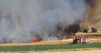 TARLA YANGININDA YAKLAŞIK 800 DEKARLIK HUBUBAT EKİLİ ALAN KÜL OLDU