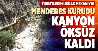 MENDERES KURUDU KANYON ÖKSÜZ KALDI