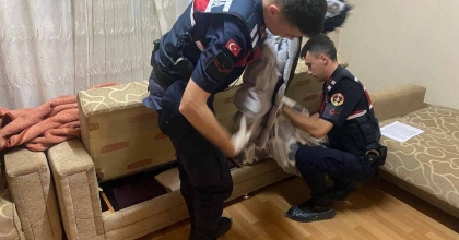 MANİSA'DA BİREYSEL SİLAHLANMAYA GEÇİT YOK