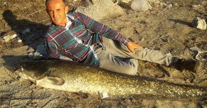 MANİSA'DA BOYU KADAR BALIK YAKALADI