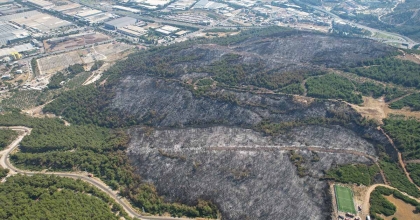 MANİSA'DAKİ ORMAN YANGINI KONTROL ALTINA ALINDI