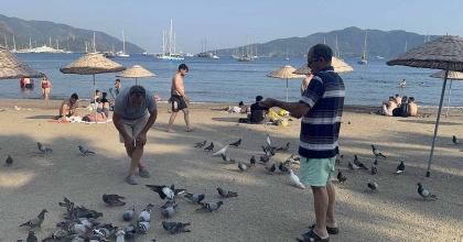 MARMARİS HALK PLAJI’NIN KANATLI MÜDAVİMLERİNE VATANDAŞLARDAN İLGİ