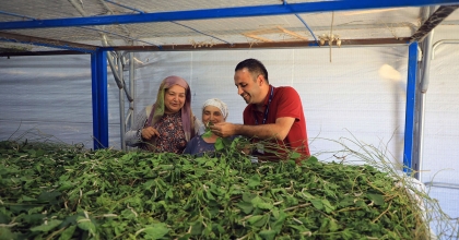 MUĞLA BÜYÜKŞEHİR’DEN İPEKBÖCEKÇİLİĞİNE TAM DESTEK