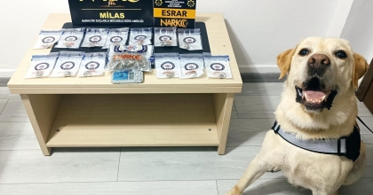 MUĞLA’DA UYUŞTURUCUYA GEÇİT YOK: 17 OPERASYONDA 5 TUTUKLAMA