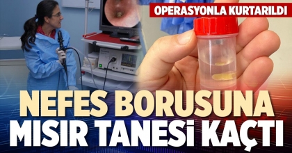 NEFES BORUSUNA MISIR TANESİ KAÇTI