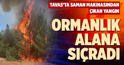 TAVAS'TA SAMAN MAKİNASINDAN ÇIKAN YANGIN ORMANLIK ALANA SIÇRADI