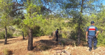 ORMANLARA GİREN VE ATEŞ YAKANLARA CEZA YAĞDI