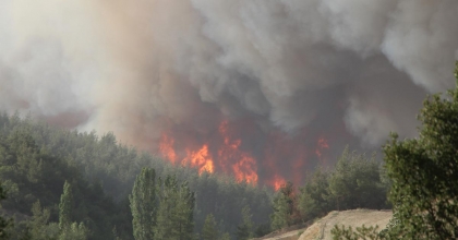 POLİS ORMAN YANGINLARINA KARŞI UYARDI